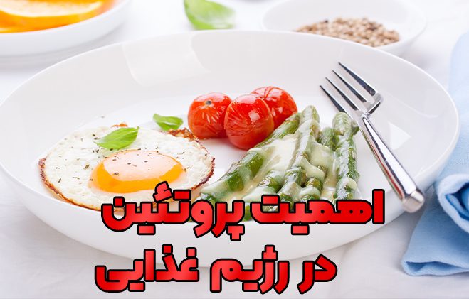 پروتئین در رژیم غذایی ورزشکار