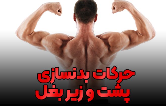 عضلات زیر بغل و پشت