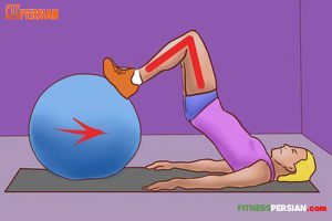 •	Exercise Ball Hamstring Curls