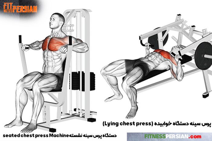 پرس سینه دستگاه خوابیده و نشسته2