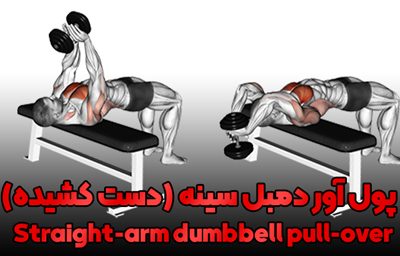 پول آور دمبل سینه (دست کشیده)Straight-arm dumbbell pull-over