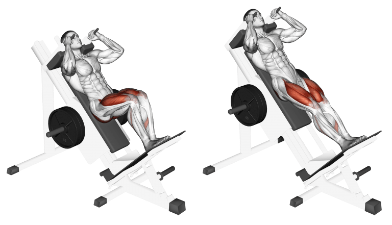 hack squat fitness perisan 1