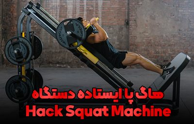 hack squat fitness perisan 2