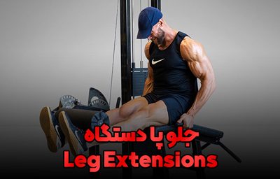 leg extension fitness persian (2)