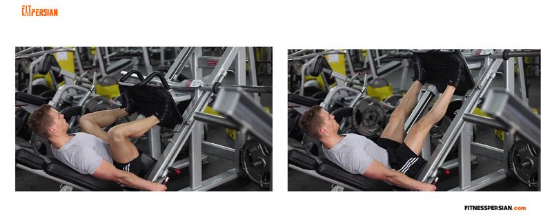 leg press fitnesspersian (1)