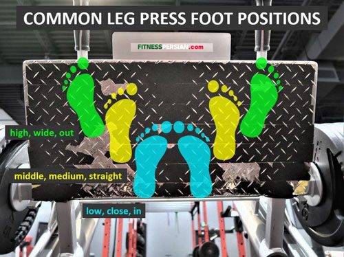 leg press position