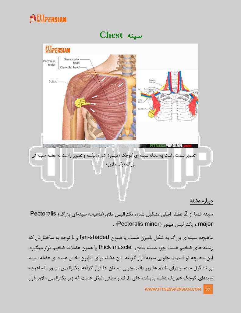 FitnessPersianGym Page 034