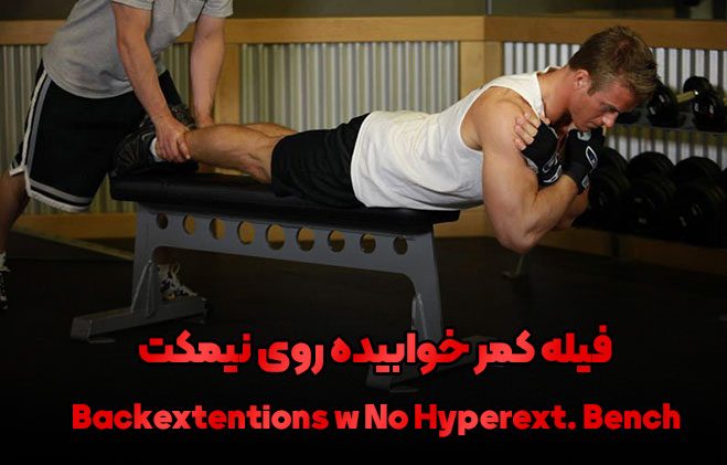 Backextentions Hyperext. Bench 1