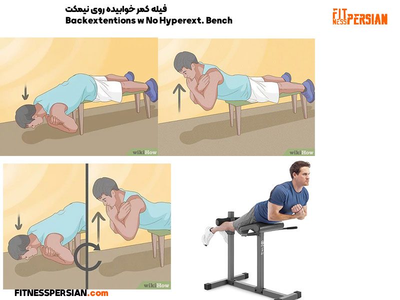 Backextentions Hyperext. Bench 2