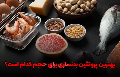 پروتوئین افزایش حجم بدنسازی