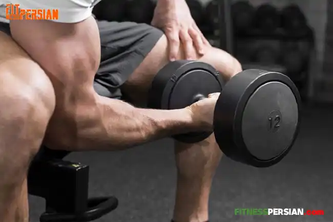 چرا در رژیم لاغری عضله از دست می دهیم؟! 4 عضله در رژیم لاغری