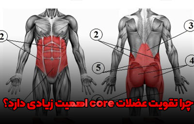 چرا تقویت عضلات core اهمیت زیادی دارد؟ 1 تمرینات core