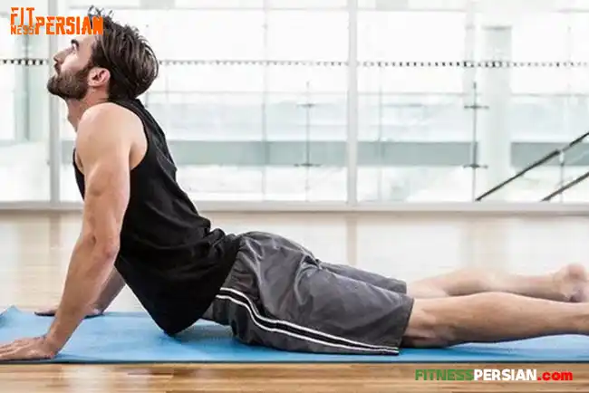 عضلات هسته مرکزی بدن